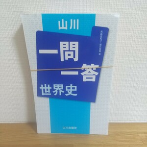 山川一問一答世界史 光森佐和子／編　増元良英／編