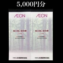 【5,000円分】イオンマックスバリュ 株主優待券　イオン北海道株主優待　イオンマックスバリュ 株主優待 イオン 株主優待券_画像1