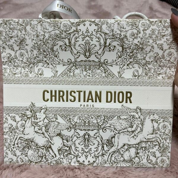 DIOR ショッパー