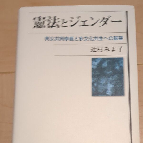 憲法とジェンダー　男女共同参画と多文化共生への展望 辻村みよ子／著