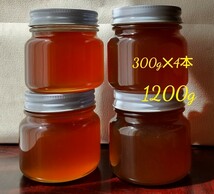 日本ミツバチ　百花蜜　蜂蜜　日本蜜蜂　長野県産　1200g　セット_画像1