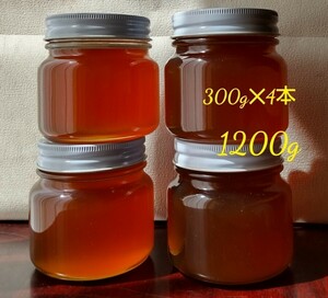 日本ミツバチ　百花蜜　蜂蜜　日本蜜蜂　長野県産　1200g　セット