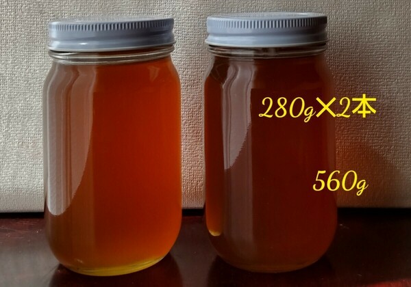 非加熱　日本ミツバチ　蜂蜜　百花蜜　　　国産　日本蜜蜂　560g