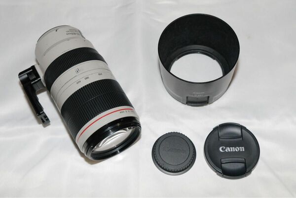 Canon キヤノン EF100-400mm F4.5-5.6L IS II USM 使用感あり