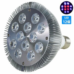 [青8/赤4] 24W(2W×12) 電球 E26 口金 水槽 用 照明 植物育成 スポット ライト 12LED アクアリウム 電球 水草 サンゴ 熱帯魚