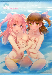PS Vita オメガラビリンス ソフマップ購入特典 朱宮愛那&美桃なこ 描き下ろしB2タペストリー