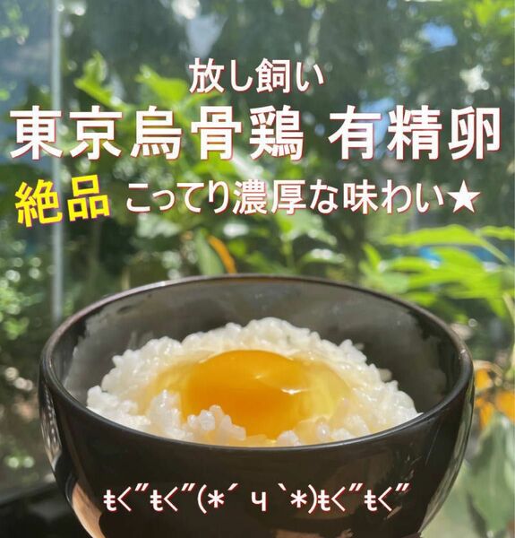 東京烏骨鶏 烏骨鶏 ２０個 有精卵 放し飼い 洗浄済み 送料無料