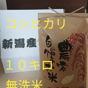 農家直送 新潟県産コシヒカリ 無洗米10キロ　訳あり