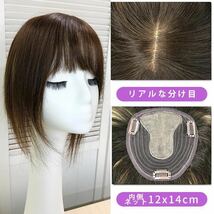 人毛100% 部分ウィッグ ヘアピース 頭頂部 ミックスブラウン【30cm】_画像4