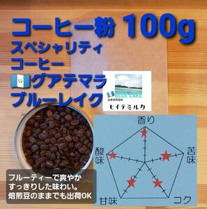 コーヒー粉orコーヒー豆100g　ブルーレイク