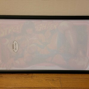 ロッキンジェリービーン ストリートファイター Street Fighters Rainbow Mika レインボーミカ 301枚限定 シルクスクリーン CAPCOMの画像3