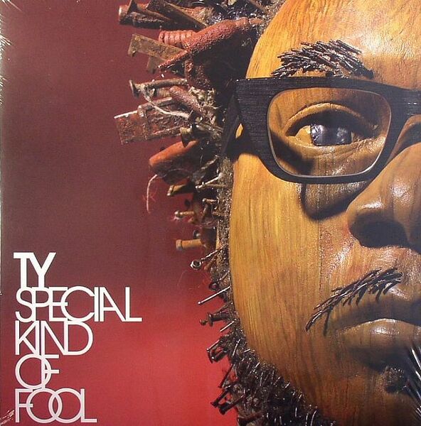 新品未使用 Ty/Special Kind Of Fool LPレコード　送料無料 (1020)