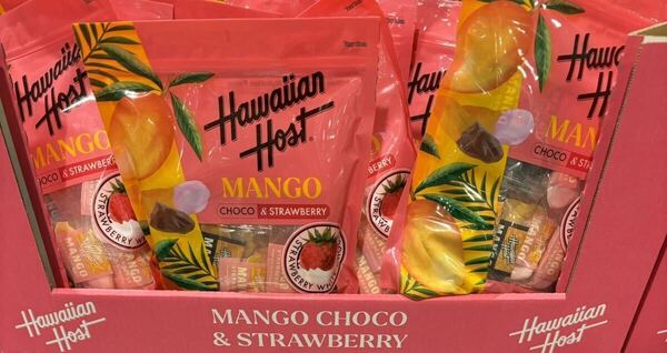 MANGO CHOCO & STRAWBERRY 10個　【数量限定！】お買い得！おすすめ商品！限定商品！