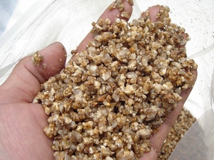  Ehime префектура запад статья производство натуральный .. песок примерно 7kg 120-07 [ косметика песок ] [ песок ] [ улучшение почвы ] [ бонсай песок ]