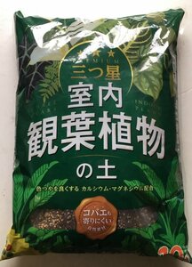 １円～　訳あり 少し破れ　三ツ星 観葉植物の土 1０Ｌ　1221093 植え替え 植替え 小型 土 室内 ヤシ ウンベラータ モンステラ パキラ