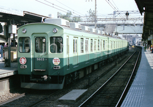 〓 京阪 ５０００系 ひらかた大菊人形　F630056030101 〓