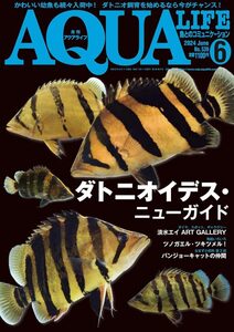  free shipping *book@ monthly aqua life newest number 2024 year 6 month number AQUALIFE