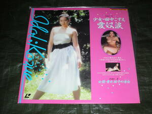  young lady * rice field middle ... love . tears woman super * Aoki Yuuko. . white LD laser disk 