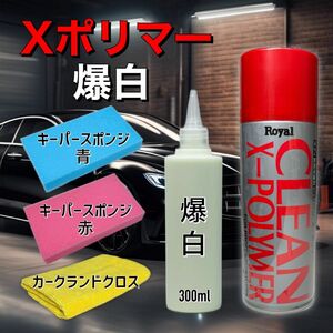 Xポリマー　爆白　ロイヤル化学　ピュアキーパー　キーパー技研　クロス付き　水アカ取り　keeper技研　下処理　コーティング