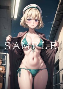 No28850 魔法少女リリカルなのは シャマル 同人ポスター 同人 ポスター 美女 アニメ