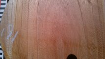 17-98　老木欅（ケヤキ）の乾燥丸材（６寸）・・丸盆・菓子器・皿・ロクロ・挽きもの_画像4