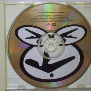 即決□Aphex Twin / Richard D. James Album□帯付き・AFX□2,500円以上の落札で送料無料!!の画像3