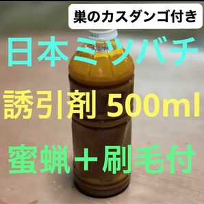 日本ミツバチ 誘引剤 蜜蝋 花粉大量配合 巣のカスダンゴ付き 5月に自然入居実績あり