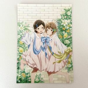 響け！ユーフォニアム 誓いのフィナーレ 京アニ ショップ 前売券 特典 大判 イラストカード 加藤 葉月 川島 緑輝 ポストカード ムビチケ