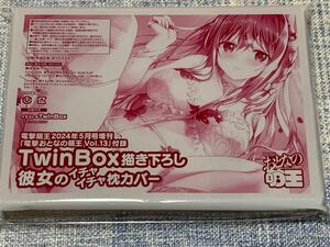 電撃おとなの萌王 Vol.13 付録　TwinBox 描き下ろし 彼女の枕カバー