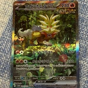 ポケモンカード　ウガツホムラex SAR