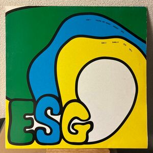ESG レコード LP S.T. ST SAME vinyl アナログ
