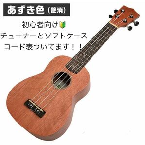 ウクレレ 初心者セット ソプラノサイズ 入門セット