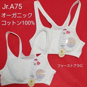 女の子 ガールズ ジュニア 綿100%スポーツブラ２枚組 サイズ A75