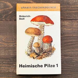 東ドイツの古いキノコ図鑑(Heimische pilze 1 1979年)/アンティーク ヴィンテージ キノコ イラスト DDR 雰囲気◎/