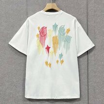 個性ヨーロッパ製※定価2万◆ブルガリア発※RISELIN 半袖Tシャツ 速乾 薄手 通気 英字 カラフル トップス スポーツ ユニセックス 定番 L/48_画像2