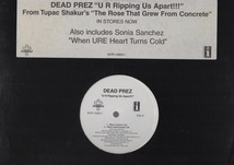 【廃盤12inch】Dead Prez / U R Ripping Us Apart!!!_画像1