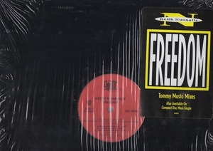 【廃盤12inch】Keith Nunnally / Freedom