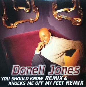 【廃盤12inch】Donell Jones / You Should Know Remix