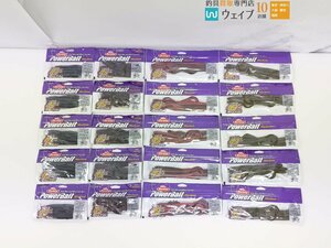 バークレイ パワーベイト マックスセント ジェネラル 5 ジュンバグ・クリーチャーホッグ 4・キングテール 8 他 計20点 新品