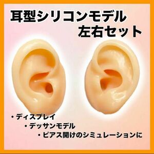 耳型模型　シリコン　左右両耳セット　ピアス　ディスプレイ　練習用　モデル　ベージュ マネキン