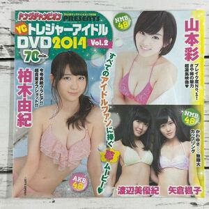 【非売品DVD】[ 山本彩 柏木由紀 篠崎愛 他 ] ヤンチャン2014年号/雑誌付録DVD/70分/未使用品♪