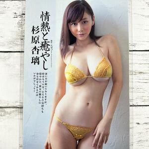 [ high quality laminate processing ][ Japanese cedar ...] Play Boy 2014 year 37 magazine scraps 3P B5 film swimsuit bikini model performer woman super 