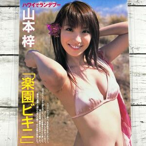 [高品質ラミネート処理][ 山本梓 ] FRIDAY 2007年11/16 雑誌 切り抜き 3P A4フィルム 水着 グラビア アイドル 芸能人 女優