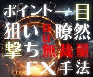 ★FX　究極のシンプル無裁量頭を使わない手法教えます★ 誰でも同じエントリー！500万無駄にして辿り着いた最後の砦★定価30000円★