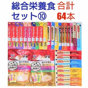 総合栄養食 セット ⑩ チャオちゅーる 三ツ星グルメ とろリッチ 猫おやつ チュール