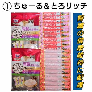 腎臓の健康維持に配慮セット ちゅーる ＆ とろリッチ 猫おやつ キャットフード 三ツ星グルメ 銀のスプーン