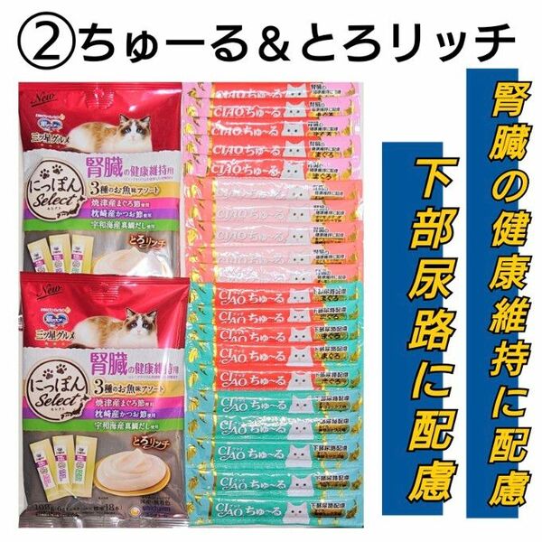 腎臓・下部尿路の健康維持に配慮セット ちゅーる ＆ とろリッチ 猫おやつ キャットフード 三ツ星グルメ 銀のスプーン