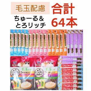 毛玉配慮 ちゅーる ＆ とろリッチ キャットフード 毛玉ケア チャオちゅーる 猫おやつ