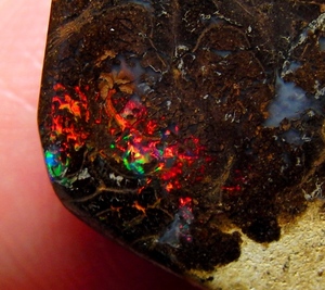 11.60cts натуральный koroitoboruda- опал прекрасный многоцветный 