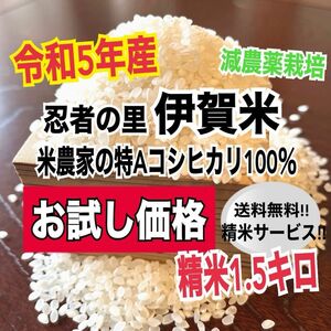 令和5年産伊賀米特Aコシヒカリ100%精米1.5キロ(農家直送)減農薬栽培